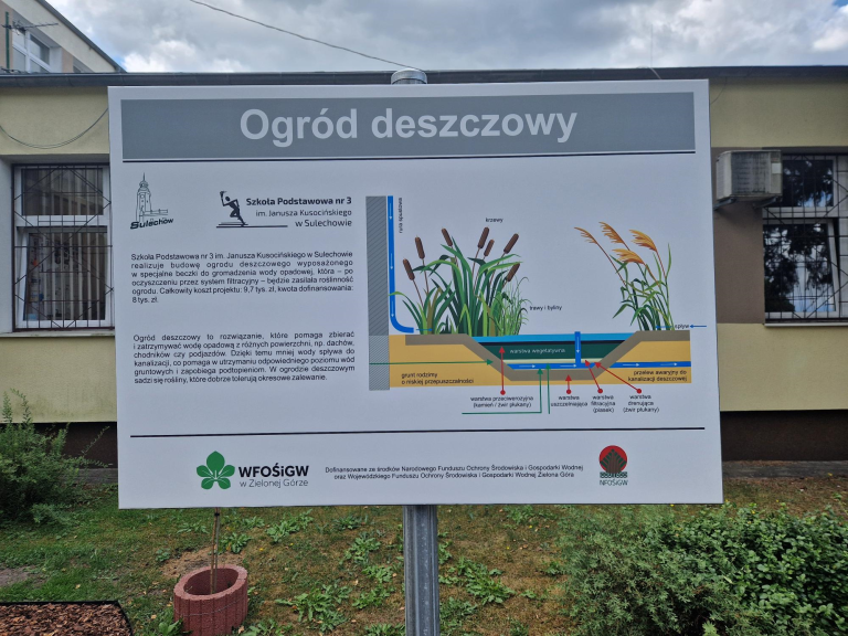 Ogród deszczowy